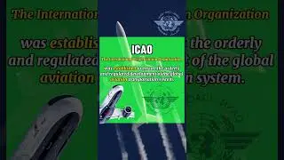 ICAO ⚖️#aircraft #airplanes #airlaw #flights #crew #pilots #piloting #icao #airspace #cockpit
