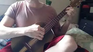 TyDe Tenor Ukulele Demo