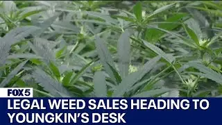 Virginia Democrats want Youngkin to approve legal weed sales