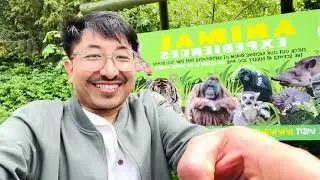 Did you know this zoo is in Birmingham? 😮Dudley Zoo is underrated 🇬🇧A day at Dudley Zoo | Birmingham