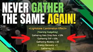 The ONLY Gathering Lightstone Combination You Should Get In Black Desert Online