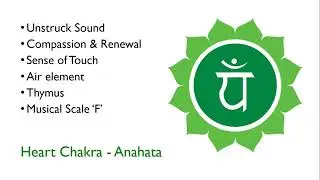 Chakra System Explained | Yoga, Breath & Guided Meditation for Energy Alignment