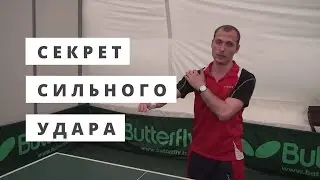 ►Секрет сильного удара в настольном теннисе. Уроки по настольному теннису