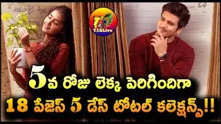 18 Pages 5 Days Total Collection | 18 Pages Day 5 Total Worldwide Collection | T2BLive