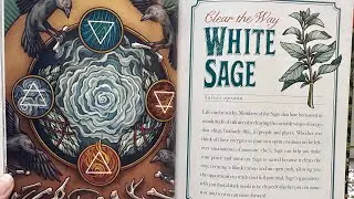 The Illustrated Herbiary oracle deck - white Sage