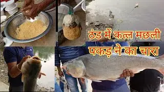 ठंड में  कत्ल मछली का चारा || thand me katla machli ka chara || katla machli ka chara || R95fishing