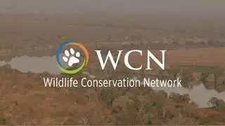 Wildlife Conservation Network Live Stream