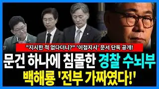 백해룡 