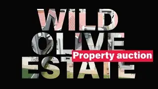 Wild Olive Estate Property Auction