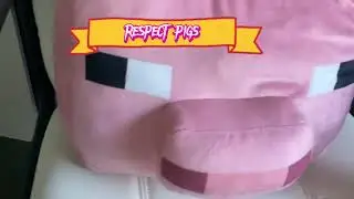 RESPECT PIGS 🐷🫡