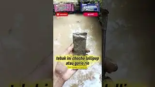 tebak ini cho cho lolypop atau goriorio (820) #tebakgambar
