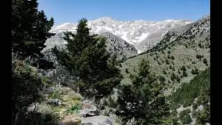 Κρητικές Μαδάρες-Γροικάτ' είντα παράγγενε γείς φρόνιμος του γιού του