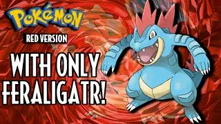 Feraligatr Solo Run - Pok&eacute;mon Red