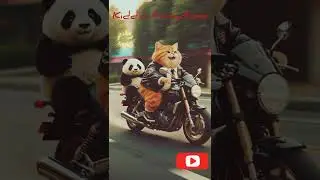 Big Tom and Panda's Joy Ride | Fun Animal Adventure on a Bike