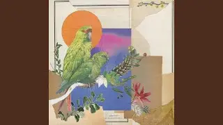 noite em dia (feat. Alexander Van Popta)