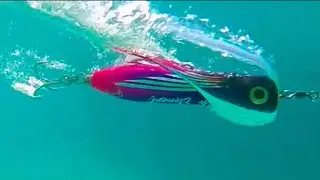 Fifth Element Rampage Popper underwater testing video by Elite Tackle