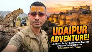 Delhi to Udaipur Teaser #leopardsafari #kumbhalgarhfort #kingsadobe #resort #travel #umaidbhawan