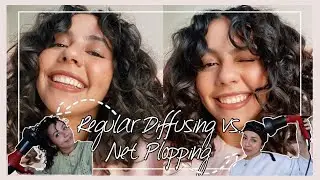 REGULAR CURLY HAIR DIFFUSING VS. NET PLOPPING ON 2A-3A WAVES/CURLS (how to diffuse wavy hair)