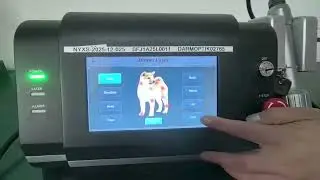 10W 980nm Class IV Veterinary Laser | Installation Video