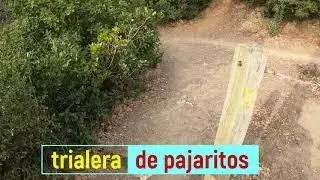 ✅Trialera pajaritos✊✊✊🚴