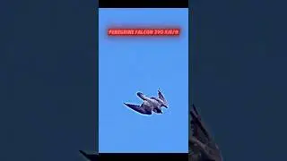 golden eagle vs peregrine falcon #trending  #youtubeshorts #shorts #short #falcon #eagle #birds