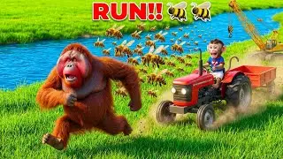 Smart Baby Monkey Rescues Puppy & Kitten! Driving Helicopter, Truck & Tractor 🚁🚜