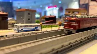 Noah&rsquo;s N Gauge Train Day 🚆 | Cargo Locomotives & KiHa Passenger Train | Tomix & Kato #Tomix #Kato
