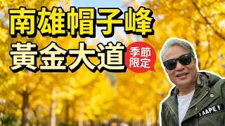 韶關翁源 Chill hea 純玩三天團 (第2集) 🌈嶺南銀杏之鄉🌈南雄帽子峰 | 賞絕美秋色🍂 | 黃金大道💛 季節限定 | 享用2曰酒店自助早餐 #大航假期 (23-25/11-2025)