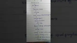 auditory pathway ,within 5 minutes