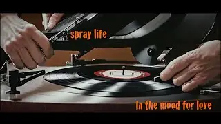 Spray Life - In the mood for love (Official Video)