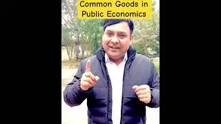 Common Goods in PUBLIC ECONOMICS