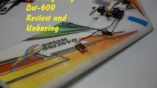 DW Hobby Mini Rainbow DW-600 Micro Flying Wing Review Bonzai Killer?