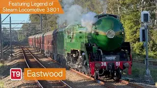 Transport for Sydney Vlog 529: Eastwood Part 5 - Featuring Legend of Steam Locomotive 3801