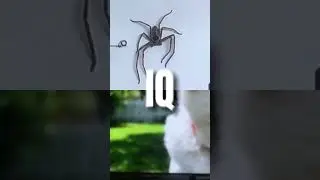 Huntsman spider vs Chihuahua remastered! #capcut #battle #edit #spider￼