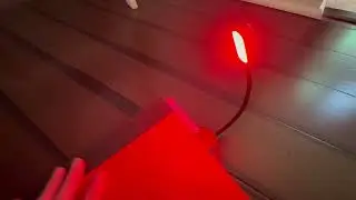 Quick Review: Hooga Red Book Light, Clip On