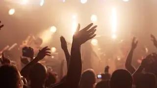 (Tarante Groove Machine // Herbalist (Live