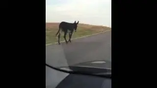 Excuse me!