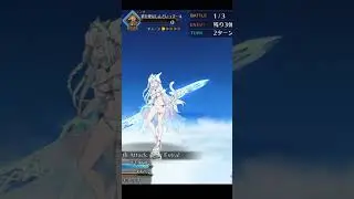 [FGO] SUMMER DOBRYNYA - Animations and Noble Phantasm #fategrandorder #fgo #summer #dobrynya