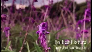 Colty Mahly - Follies Fixture (cover)