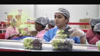 Chopde Farms Exports - Corporate Video