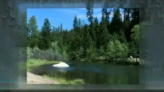 Trinity Lake Campground Reservations