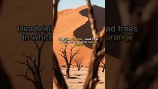 Top 10 Most Alien Landscapes on Earth 🌍 #facts #top10 #like #subscribe #factsyoudidntknow #shorts