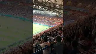Island fans. Last 