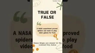 Can spiders play? | Test Your Knowledge | THINK TIDE | True?False #dailyquiz #brainbooster #quiz