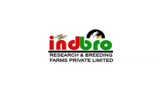 Indbro Chicken NRC Certified