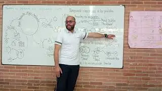 Reinos protistas algas y protozoos 