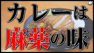 印度カリー子さんとNGワード連発の超危険コラボの裏側の話。※ちゃんとした補足もあります。｜雑談｜COCOCORO｜カレー