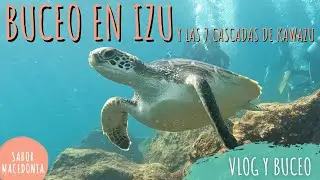 🇯🇵  Península de Izu. Vlog y buceo en la costa este. Japón al natural 