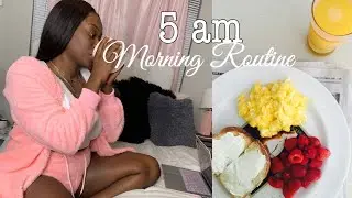 MY 5AM MORNING ROUTINE 2020 | Productive and Healthy