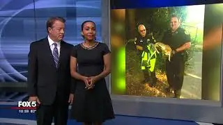 Officers rescue baby deer